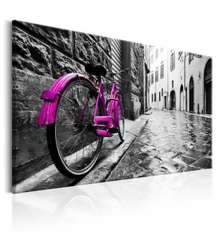 

Picture-Vintage Pink Bike