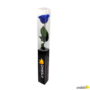 

Mundo eternal Rosa Eterna preserved 55cm blue Dark