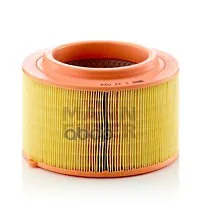 Air filter Mazda Bt-50 MANN-FILTER art. C22024 | Компьютеры и офис