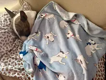 Blankets Bed-Mats Bed-Cover House Sofa Dogs Bed Fleece BULLTERRIER Bulldog Cats Soft