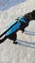Vest Jacket Dogs-Harness Dog Coat Reflective Waterproof Outfit Large Thick with Fur-Collar