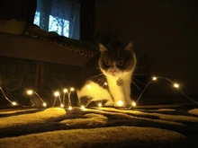 Light-String Decoration Garland Courtyard-Lamp Christmas-Lights Fairy LED Bedroom Garden