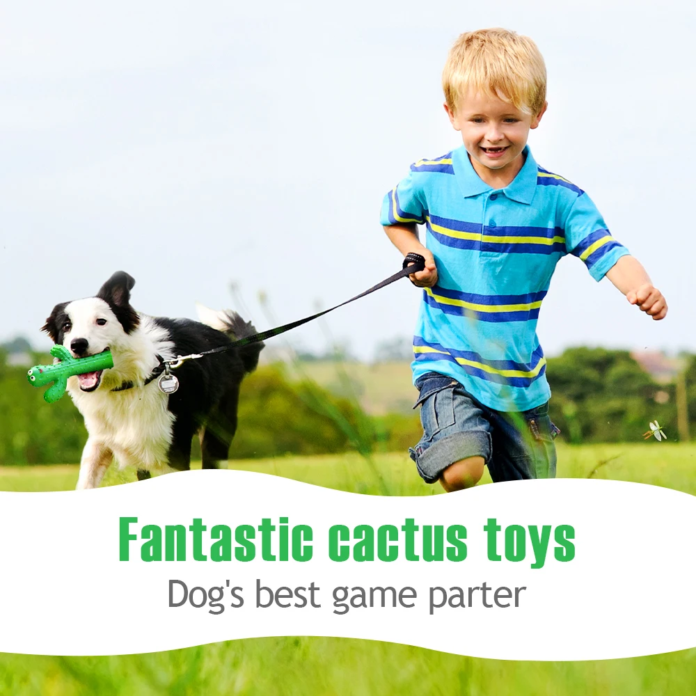 Feeko Natural Rubber Squeaky Durable Dog Toys Cactus For Large Dogs Chew  Cleaning Teeth Interactive Toys For Dog Pets Products - Dog Toys -  AliExpress