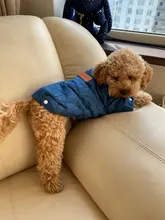 Costume Chihuahua Coat Jeans Pet-Clothing Dog-Jacket Puppy Poodle-Bichon Dog Denim Winter