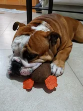 Dog-Toys Chew-Supplies Puppy Sound Dogs Wild Plush Cleaning Teeth Cartoon for Goose Resistance-To-Bite-Squeaky