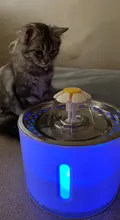 Water-Fountain Automatic Bowl Feeder Drinker FILTERS Led-Lighting Cats with 5-Pack USB