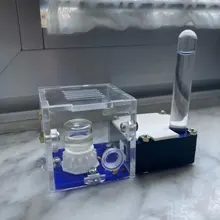 Test-Tube Nest Plane Ant Ant-Workshop Acrylic Small Flat Community Palm-Middle-Nest Back