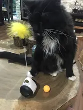 Vaso Swing juguetes para gatos gato interactivo equilibrio coche gato juguete de persecución con Catnip para mascotas productos para Dropshipping. Exclusivo.