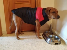 Ropa de perro grande invierno cálido mascota chaleco chaqueta impermeable perro abrigo ropa para perro grande Bulldog Golden Retriever ropa