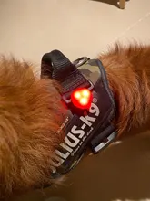 Perro mascota LED nocturno linterna perro gato Collar brillante colgante de seguridad para mascotas lleva Collar luminosa decoración brillante collares para perro