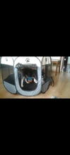 Houses Kennels Fences Dog-Tent Pet-Cage Puppy Dogs Outdoor Portable Cats 