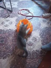 3 Levels Pet Cat Toy Funny Tower Tracks Disc Cat Tracks Toys Training Intelligence Amusement