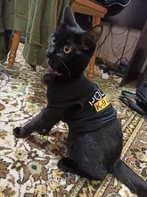 Traje de policía para Cosplay de perros y gatos, chaleco elástico negro, camiseta de cachorro, accesorios, ropa, disfraces