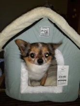 HOOPET-casa de perro para interior, cálida perrera, nido de cueva de Gato, nido de conejo, esterilla extraíble lavable, cama de dormir acogedora para gatos