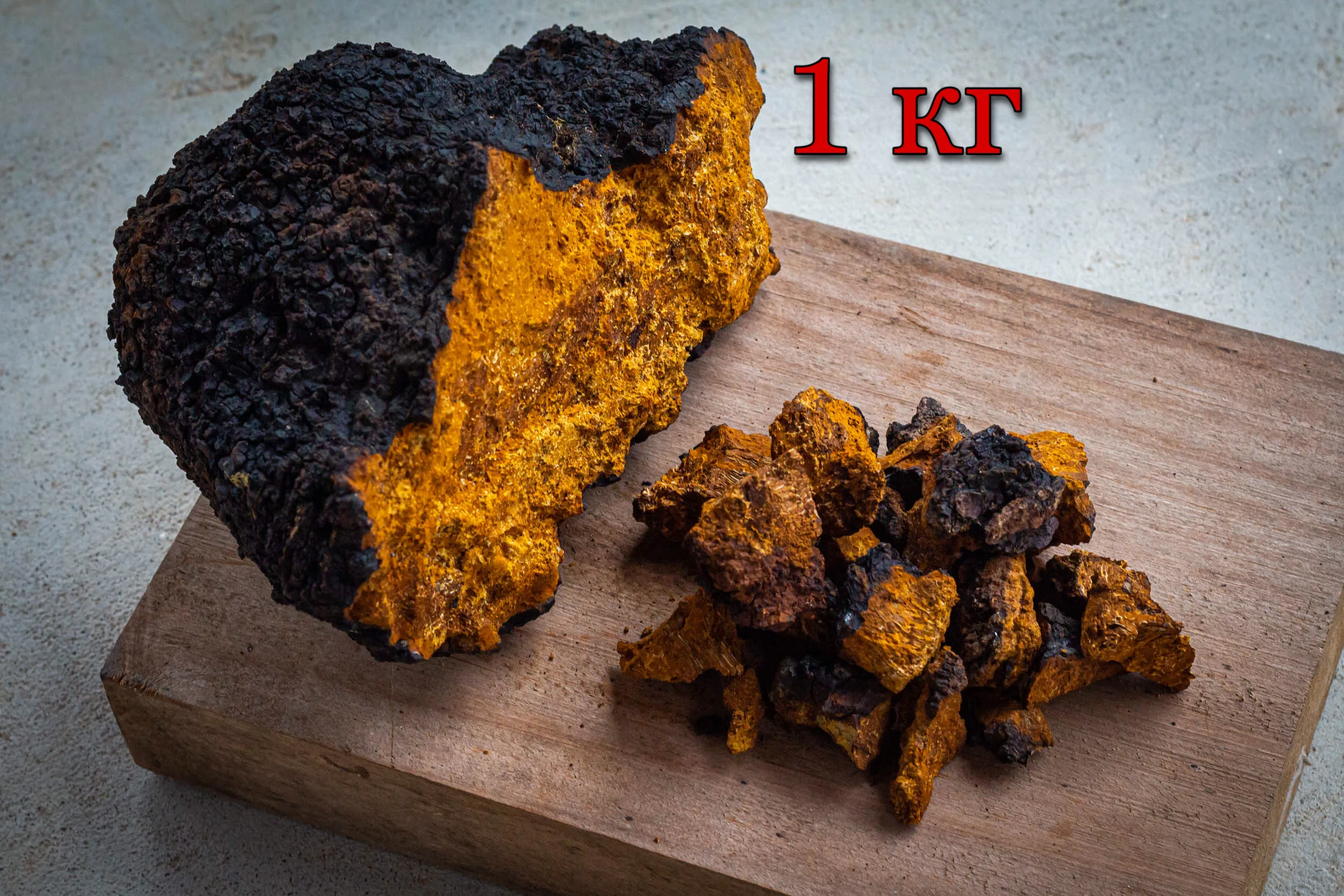 Chaga mushrooms chaga chaga chunks tea chaga organic chaga mushrooms chaga cream blithe chaga chaga anti wrinkle birch tundra chaga chaga anti wrinkle Inonotus obliquus Siberian chaga Russian chaga chaga birch chaga ru