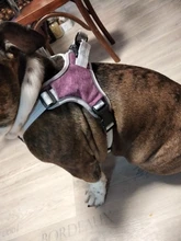 Pet-Vest Harnesses Dog-Supplies Reflective No-Pull Small Walking-Adjustable Large Medium