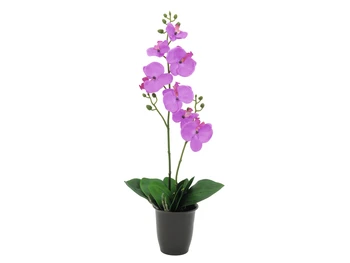 

EUROPALMS Orchid, artificial plant, purple, 57cm