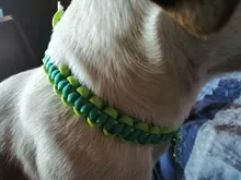 CAMPINGSKY-Cuerda de paracaídas Paracord 550 Mil Spec tipo III 7 hebras, cuerda para senderismo, tiendas de campaña, excursiones, camping, 100 pies, 200 colores