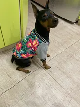 Jacket Costume Coat Bulldog-Clothes Small Dog Pug French Winter Pet-Dog Warm Cute 