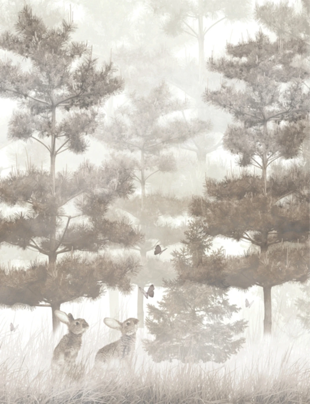 Wall Mural Dekor Vinil Forest, Wallpaper Nature, Trees, Birch, Sun