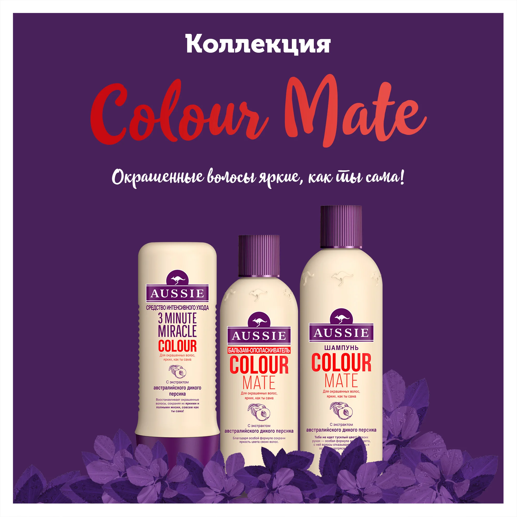 Шампунь Aussie Colour Mate Для окрашенных волос 300 мл