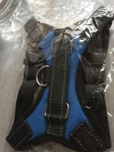 Arnés ajustable para perros y gatos, correa reflectante y transpirable, arnés tipo chaleco para perro y mascota