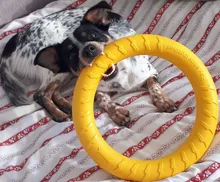 Ball Ring Pet-Toy Interactive-Ball Dogs Flying-Discs/chew-Toy Small/large with EVA 