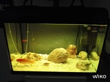 Luz RGB para acuario, lámpara de buceo con control remoto de 18-57cm, colorida, 90-260v, para plantas, pecera, uso con anfibios esenciales