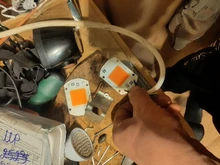 Phyto-Lamp Seedling Flower-Growth Cob-Chip Indoor-Plant Full-Spectrum AC220V 10W 20W