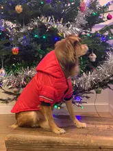 Small Dog Clothes Winter Warm Pet Dogs Coat Jacket Puppy Cat Outdoor Clothing Hoodies