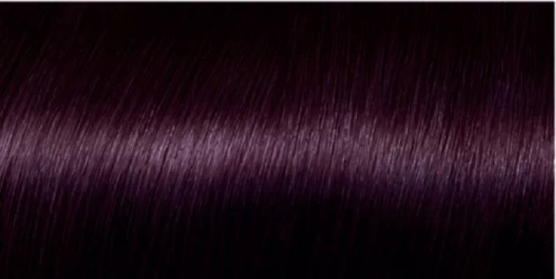 L'Oreal Paris Стойкая краска для волос "Preference", оттенок 3.26, Терпкий глинтвейн