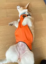Proteger Corgi barriga delantal impermeable ropa de perro mascota pequeña pierna corta pierna perros mascotas ropa de Bulldog Francés traje para Pug S-L