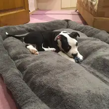 Dogs-Bed Sofa-House Big-Basket Small Large Waterproof Cat Bed Soft-Fleece for Medium