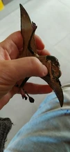 Figura de acción de pterodáctilo realista para niños, modelo de decoración de escritorio, juguete para regalo, juguetes de modelos de colección, Animal nuevo