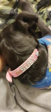 Collar personalizado con hebilla para perros y gatos, Collar personalizado con letras y diamantes de imitación para perros pequeños y medianos