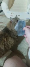 Self-Groomer-Toy Massage-Device Cat Catoy Pet-Cat with for Hair-Removal-Brush Dogs Comb