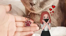 Etiqueta personalizada para perro, accesorios para Collar de Mascota, grabado de identificación de gato y cachorro, colgante de acero inoxidable con nombre de pata antipérdida