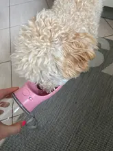 Botella de agua portátil para perros pequeños, medianos y grandes, a prueba de fugas, para exteriores