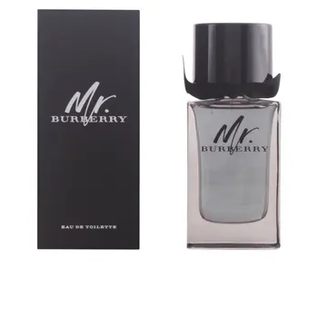

MR BURBERRY edt vaporizer 100 ml