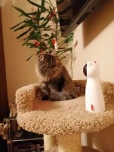 Juguetes interactivos para gatos, Láser LED para mascotas, modo manual divertido, electrónico, para todos los gatos, Laserlampje Kat