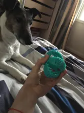 Juguetes de perro ventosa de silicona para perros de compañía Tug interactivo bola juguetes para mascotas masticar morder los dientes cepillo de limpieza de los perros Juguetes