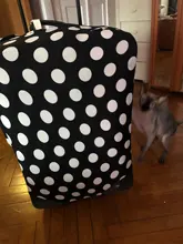 Funda para maleta a la moda con rayas elásticas, funda para equipaje con forma de corazón de amor, antipolvo, For18-32Inch, accesorios esenciales para maleta