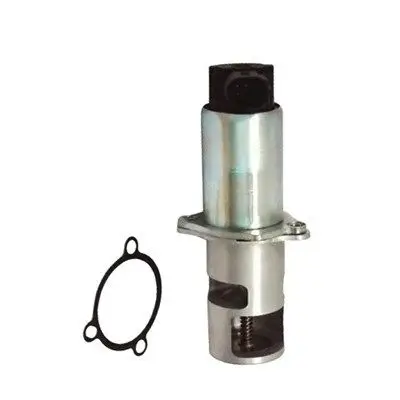 Клапан рециркуляции Renault Megan II 1.9DCi 03 MAGNETI MARELLI 5