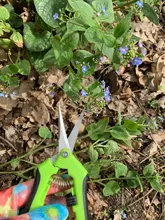 Tijeras de podar para jardín tijeras afiladas para jardinería, tijeras de jardinería para recoger árboles en maceta, ramas de malas hierbas