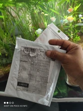 10g de planta de acuario acuáticos hierba de agua decoración para peces tanque fácil creciente césped musgo adornos de jardín hogar paisaje suministros