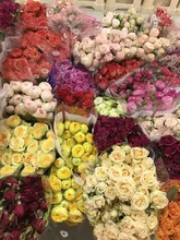 Miniseñal de tráfico para niños, bloque de luz de carretera con sonido LED, educativo