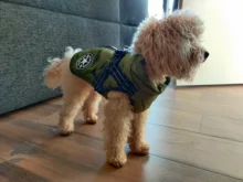 Vest Coat Jacket Harness Dog-Clothing French-Bulldog-Pet Dogs Small Waterproof Winter