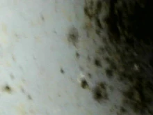 Minicámara endoscópica HD IP68, tubo rígido, flexible de 2 m, conexión USB tipo-c micro, 1200 P, boroscopio para inspección de coches, para Android