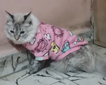 Cartoon Cat Hoodie Sweater Autumn Winter Pet Cat Clothes for Cats Katten Kedi Pullovers