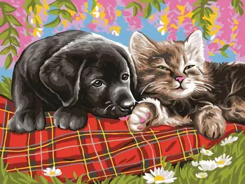 

Painting by numbers "Sweet Dreams" color kit ce132